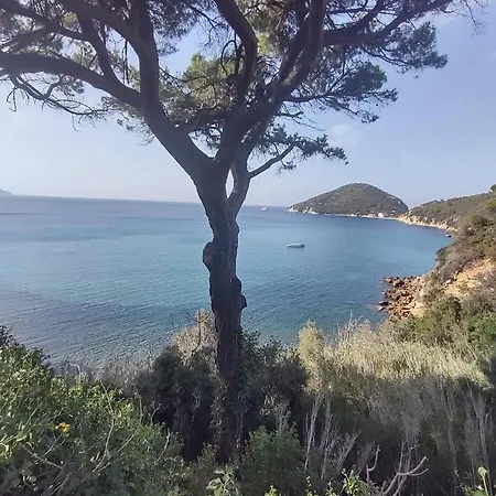 Monocale * Poggio